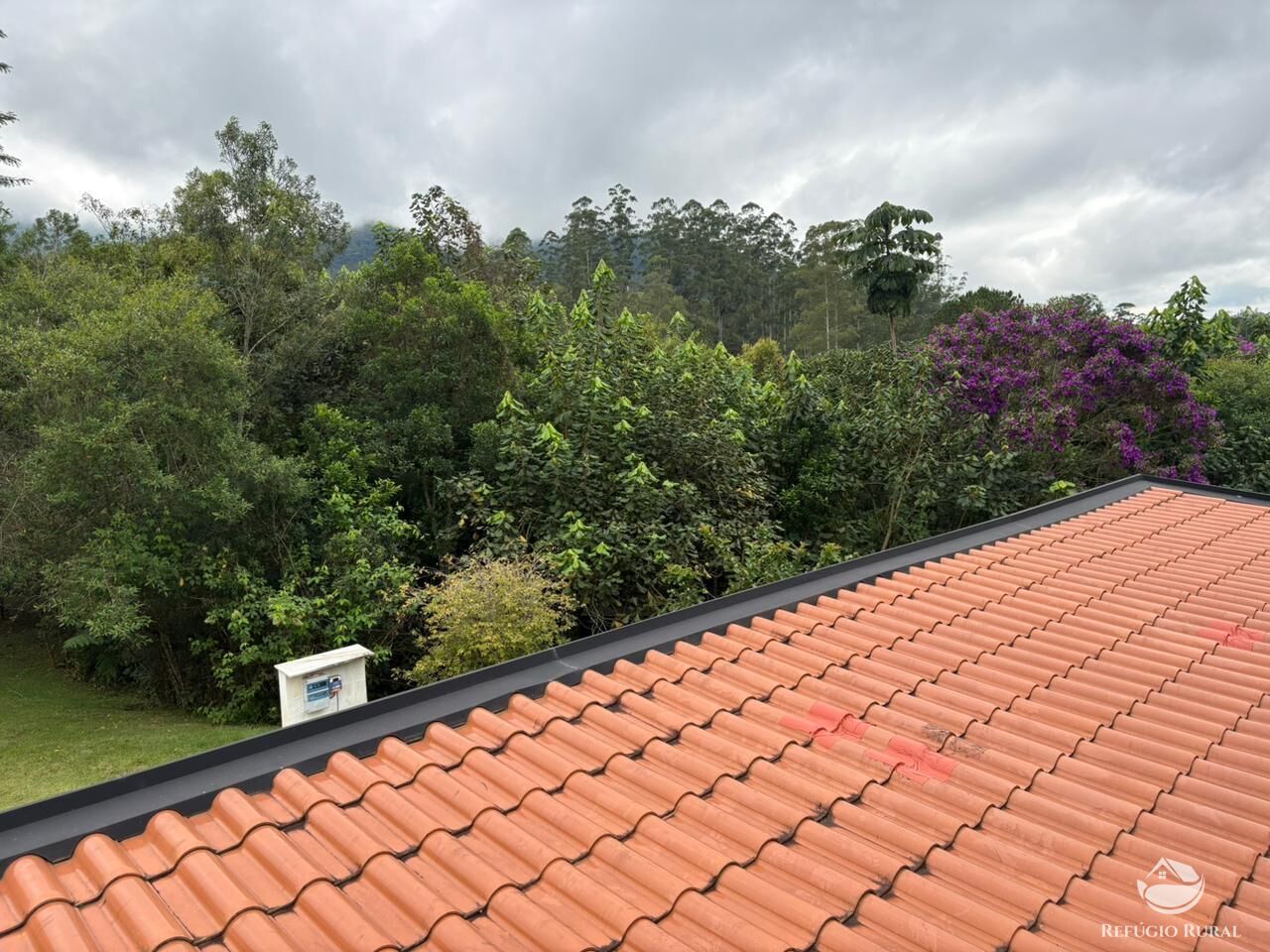 Chácara, 2 hectares - Foto 18