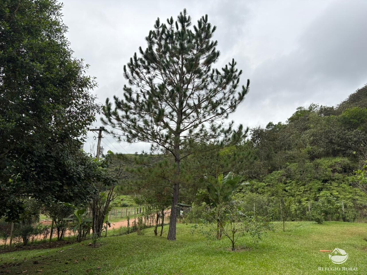 Chácara, 2 hectares - Foto 14
