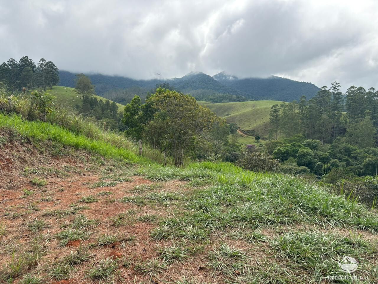 Chácara, 2 hectares - Foto 24