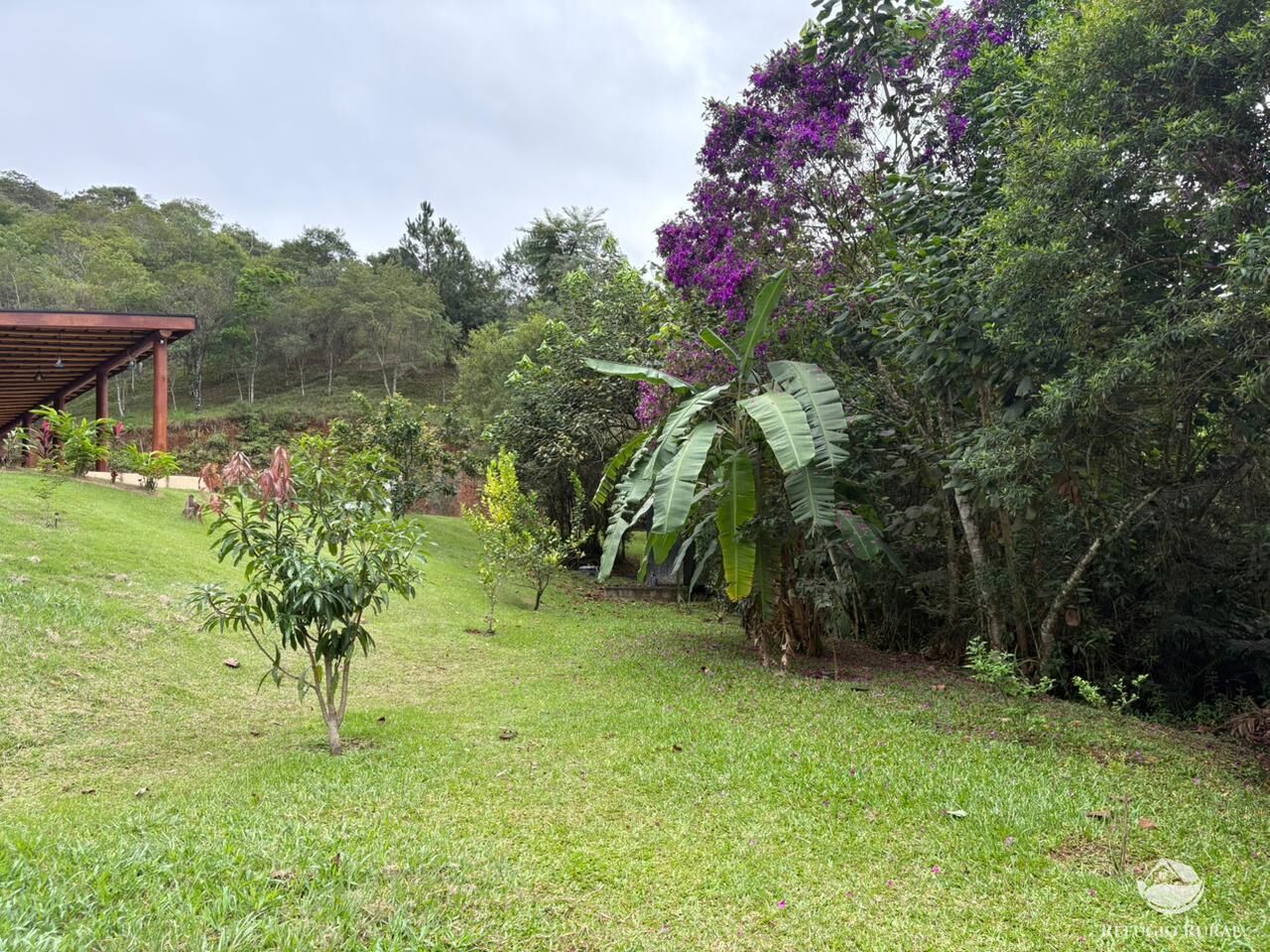 Chácara, 2 hectares - Foto 16
