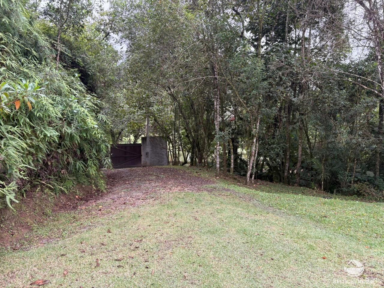 Chácara, 2 hectares - Foto 10