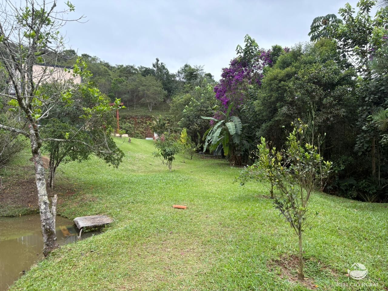 Chácara, 2 hectares - Foto 15