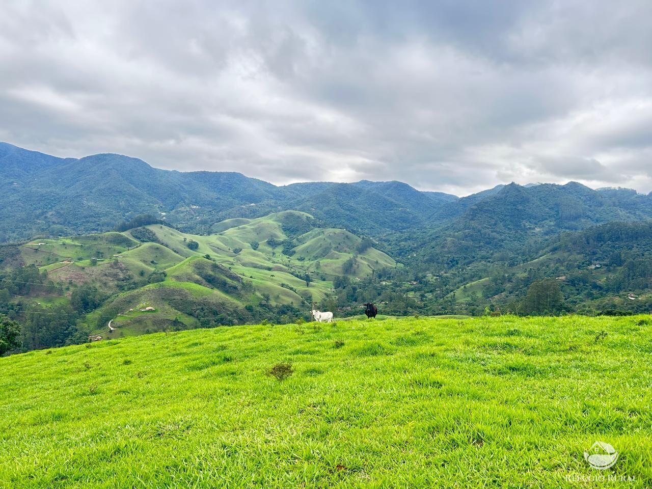 Terreno à venda, 60000m² - Foto 1