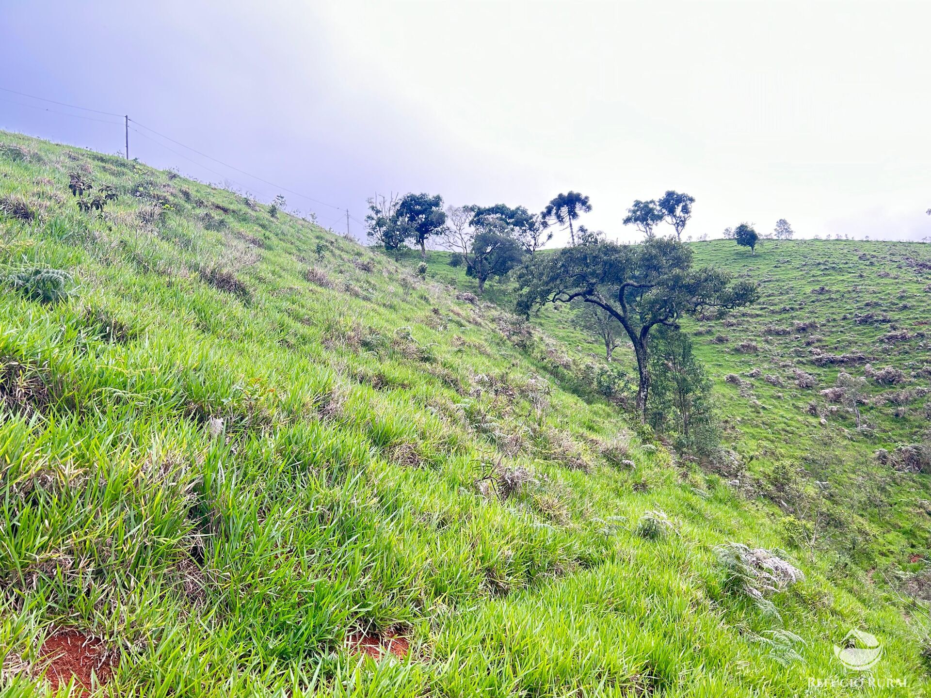 Terreno à venda, 60000m² - Foto 42