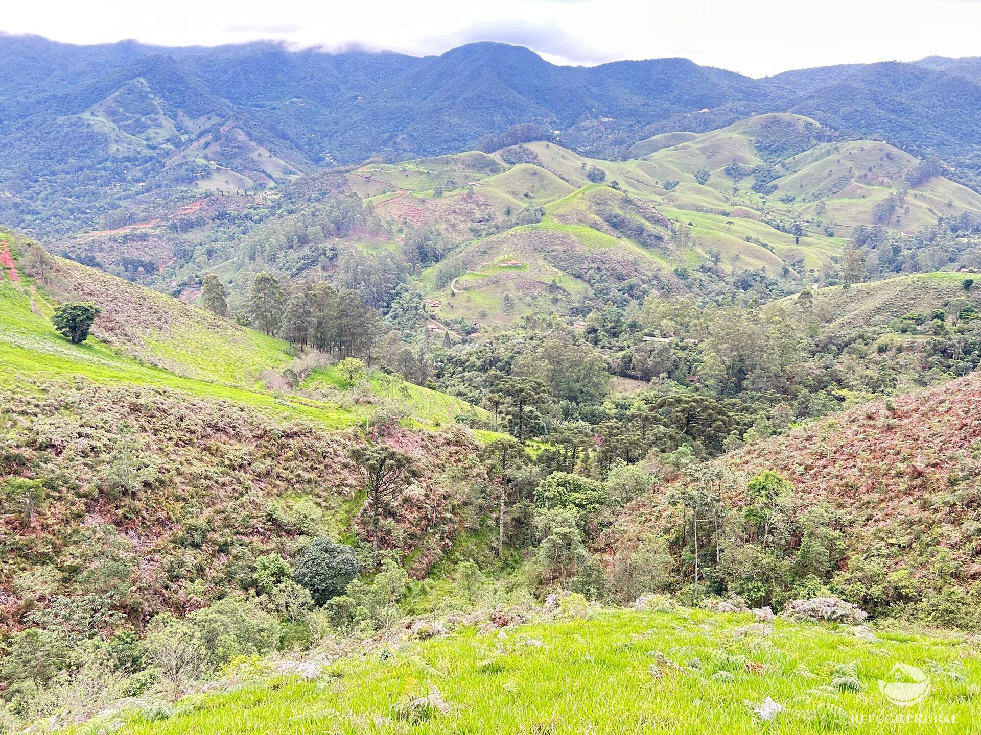 Terreno à venda, 60000m² - Foto 2