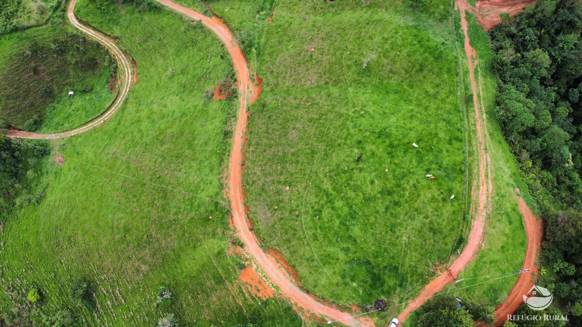 Terreno à venda, 60000m² - Foto 34