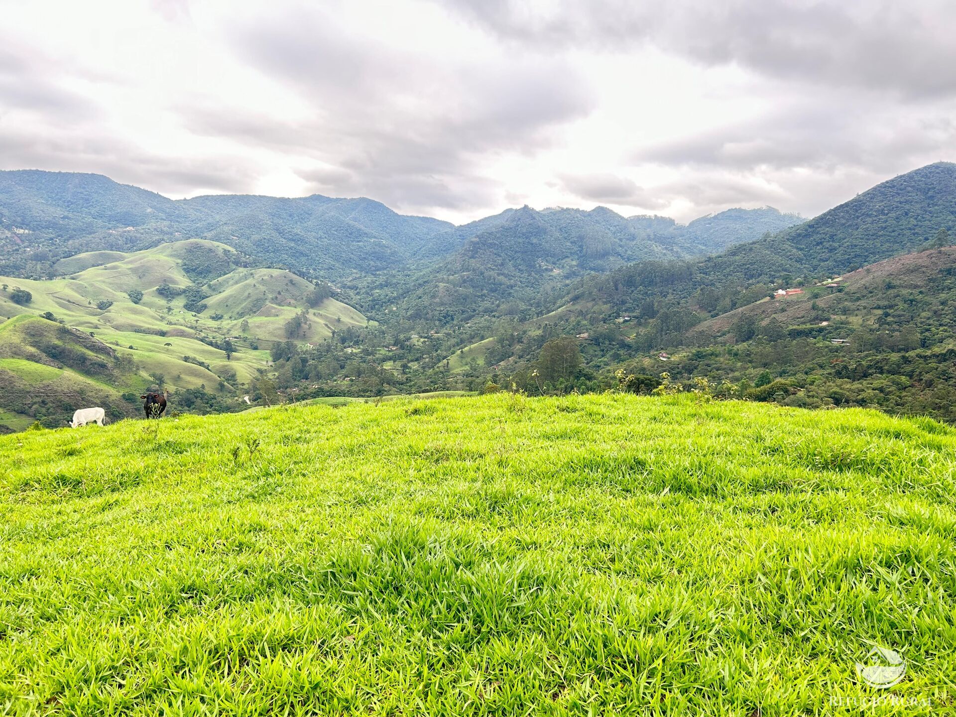 Terreno à venda, 60000m² - Foto 11