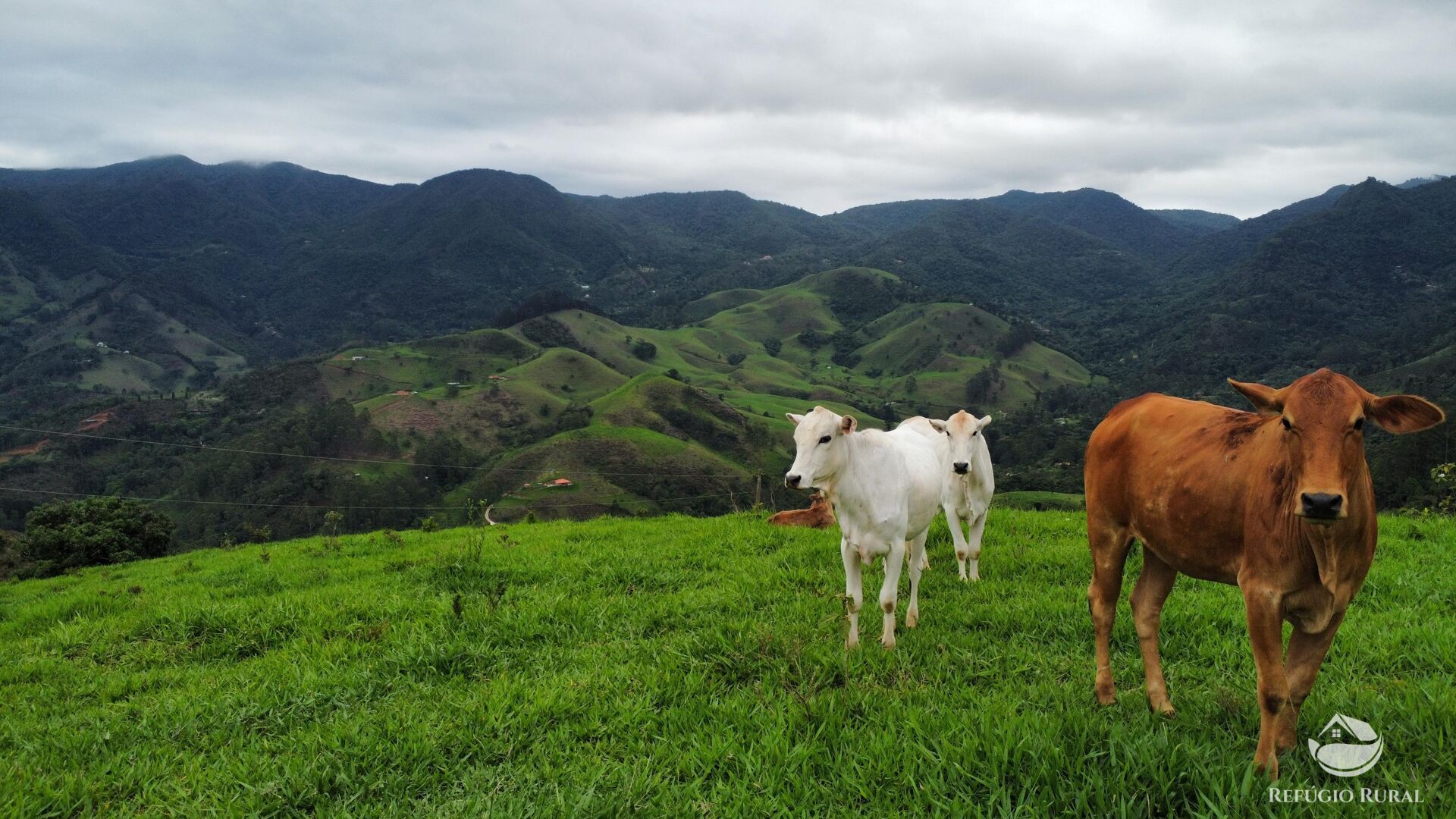 Terreno à venda, 60000m² - Foto 36