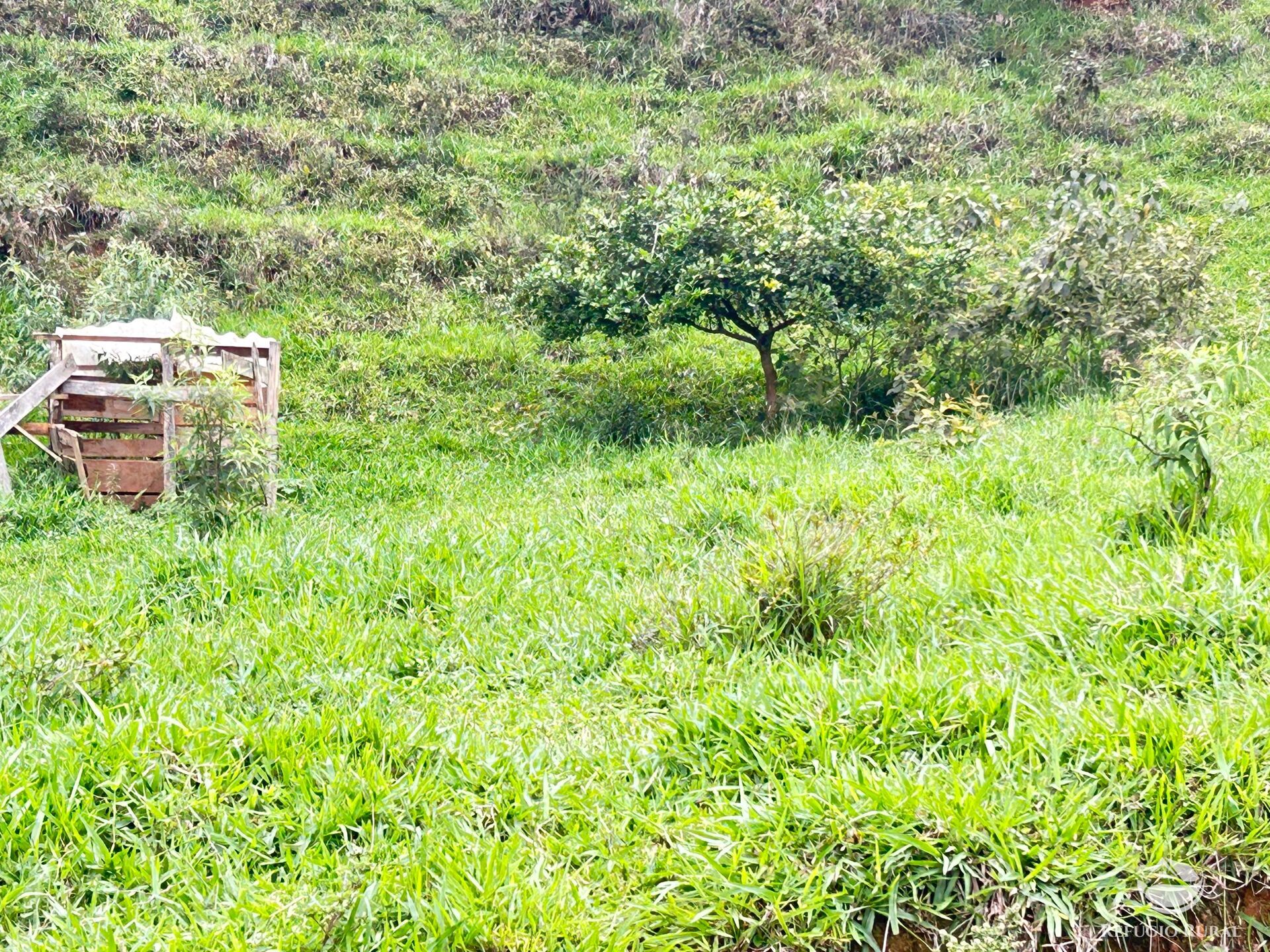 Terreno à venda, 60000m² - Foto 47