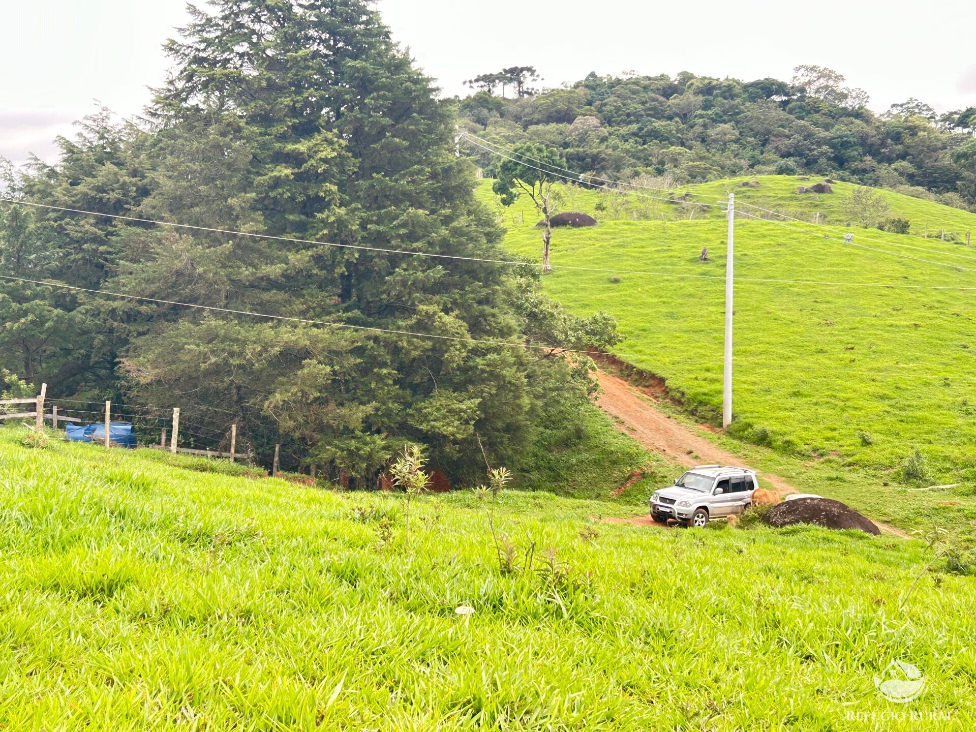 Terreno à venda, 60000m² - Foto 20