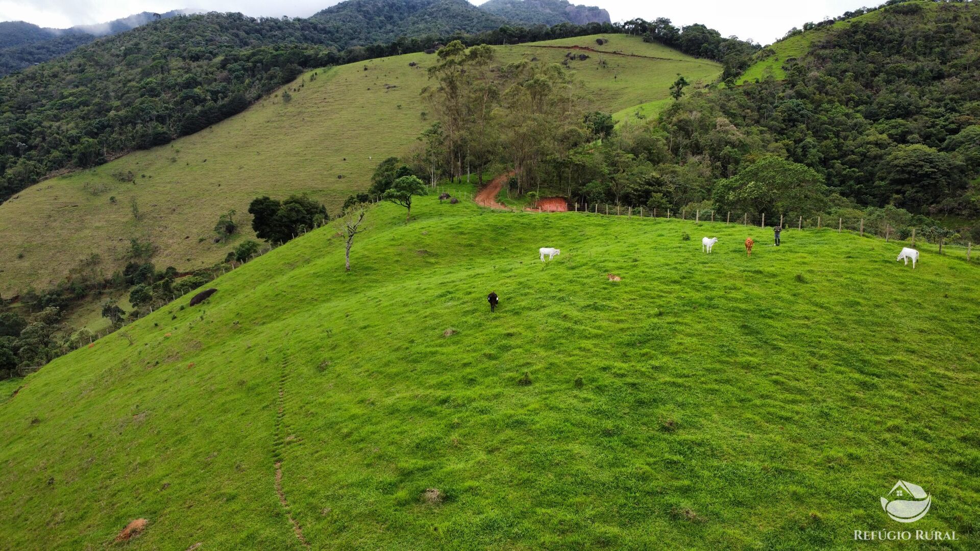 Terreno à venda, 60000m² - Foto 4