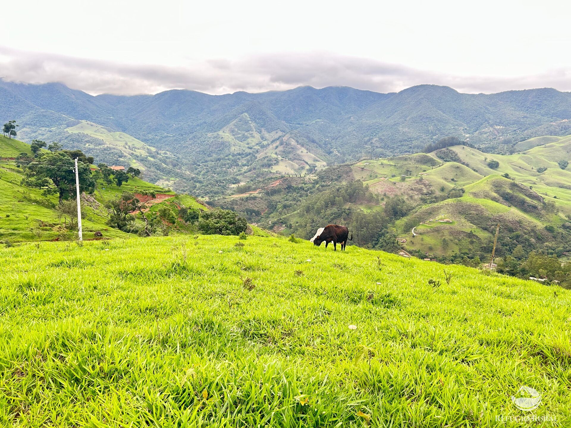 Terreno à venda, 60000m² - Foto 14