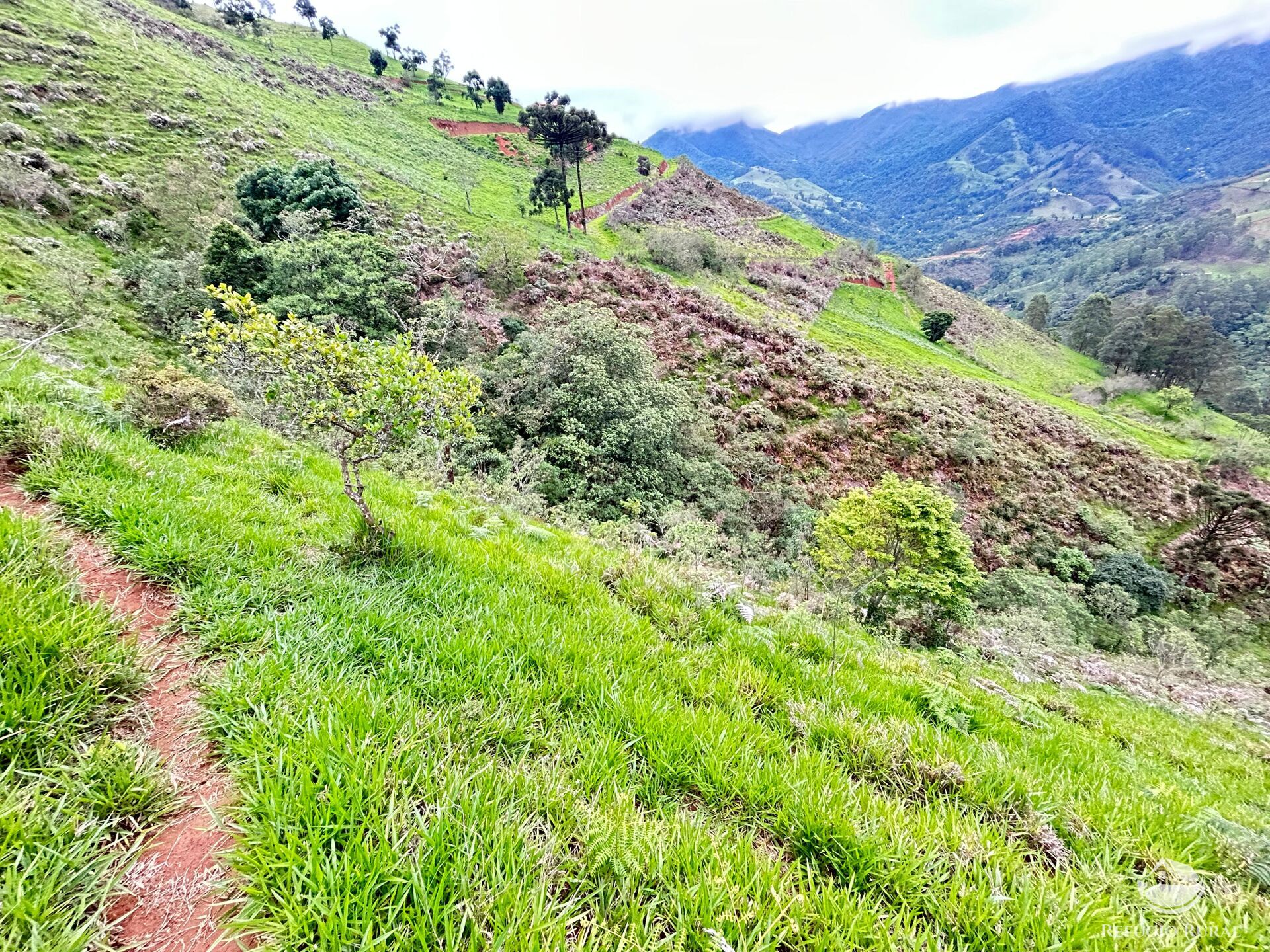 Terreno à venda, 60000m² - Foto 43