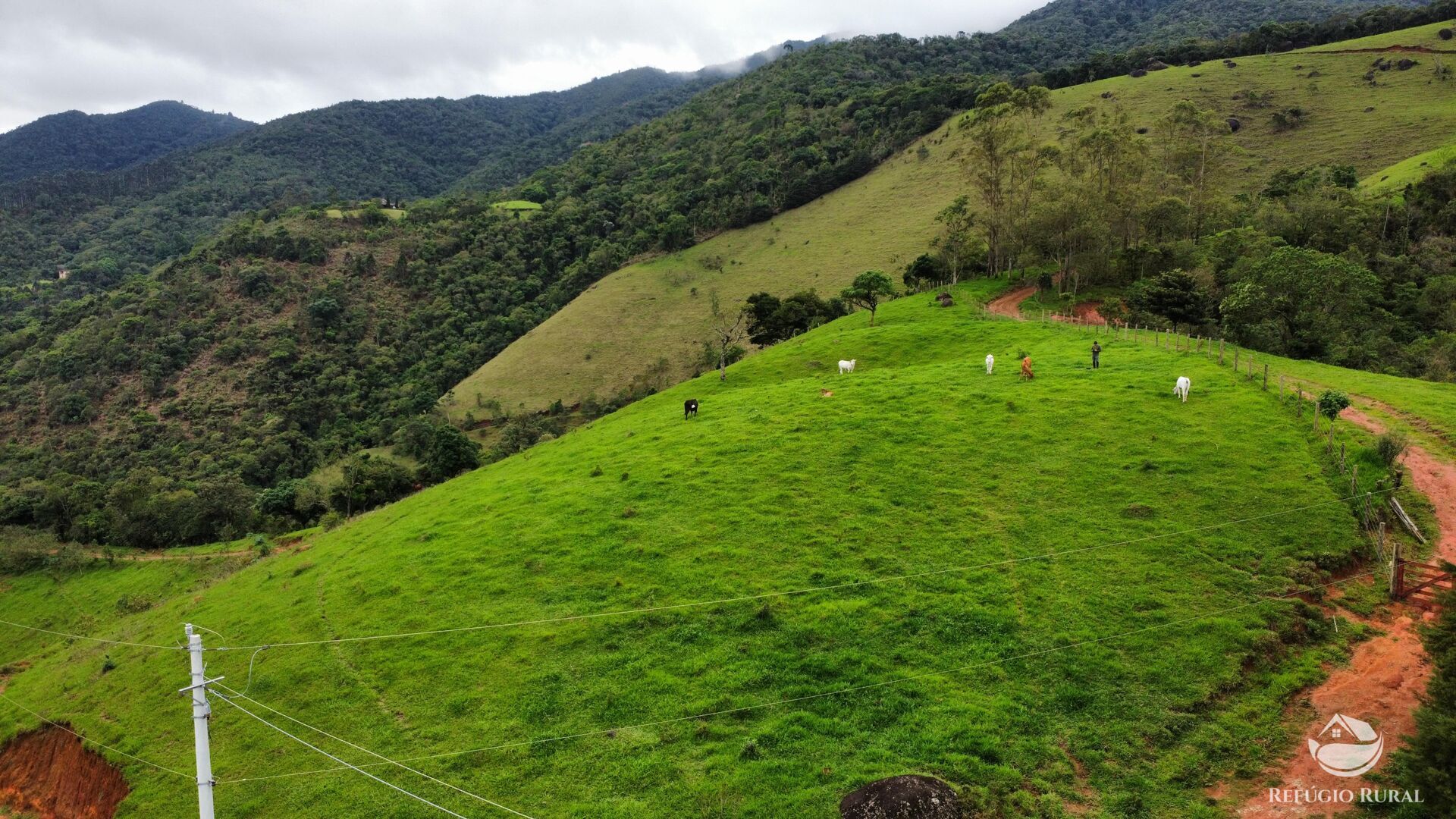 Terreno à venda, 60000m² - Foto 29