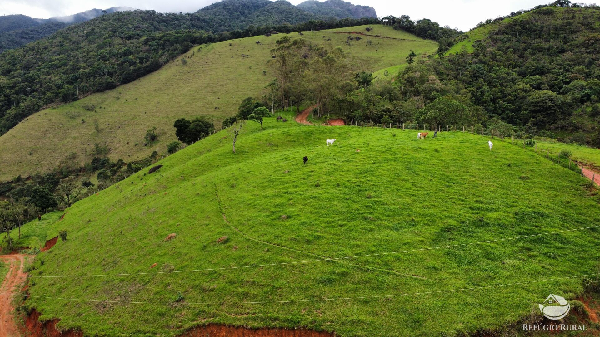 Terreno à venda, 60000m² - Foto 28