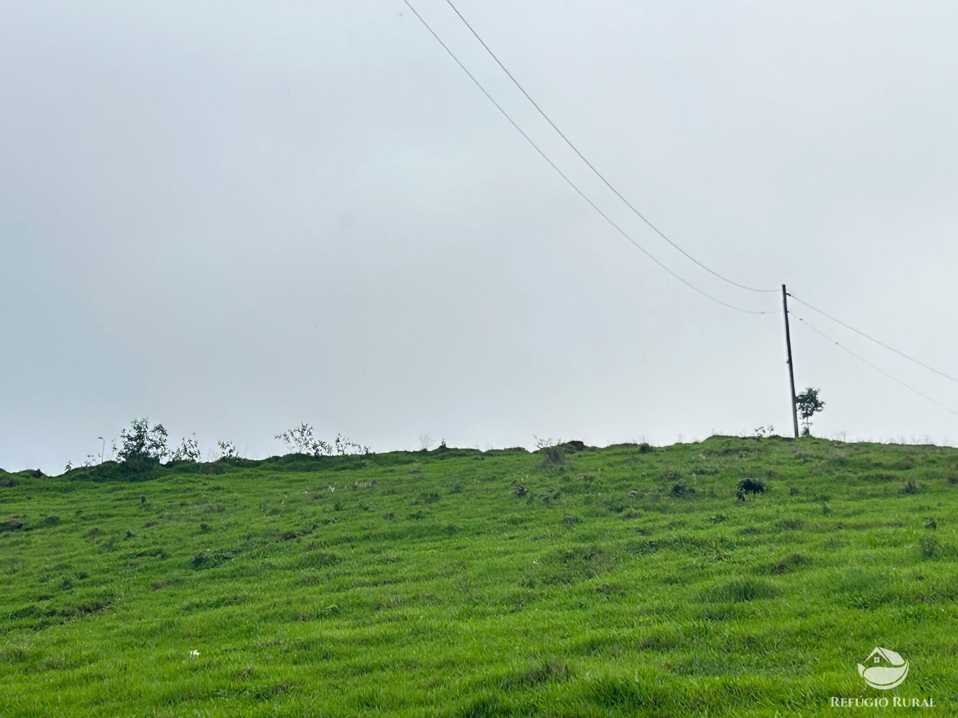 Terreno à venda, 60000m² - Foto 46