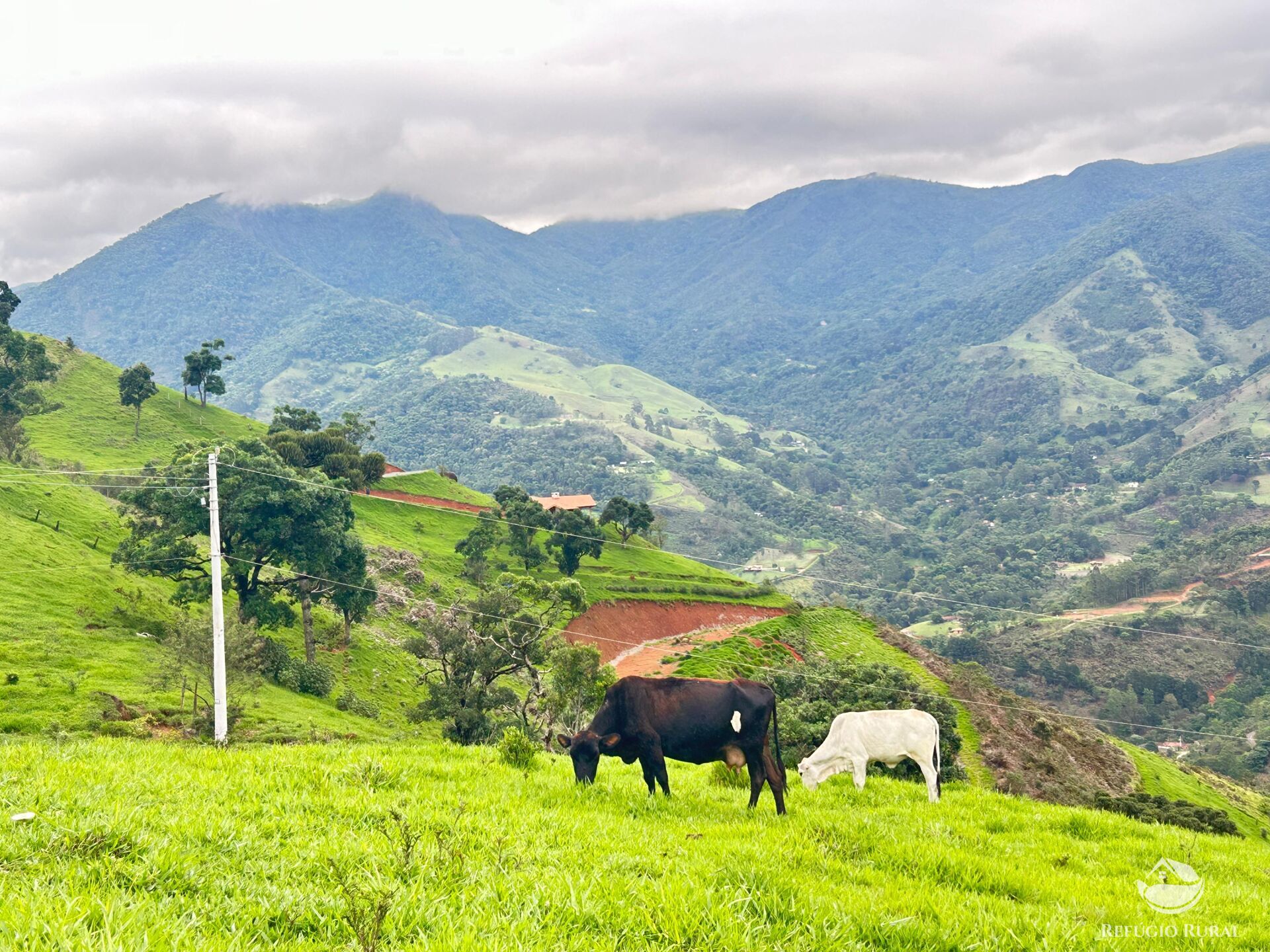 Terreno à venda, 60000m² - Foto 5