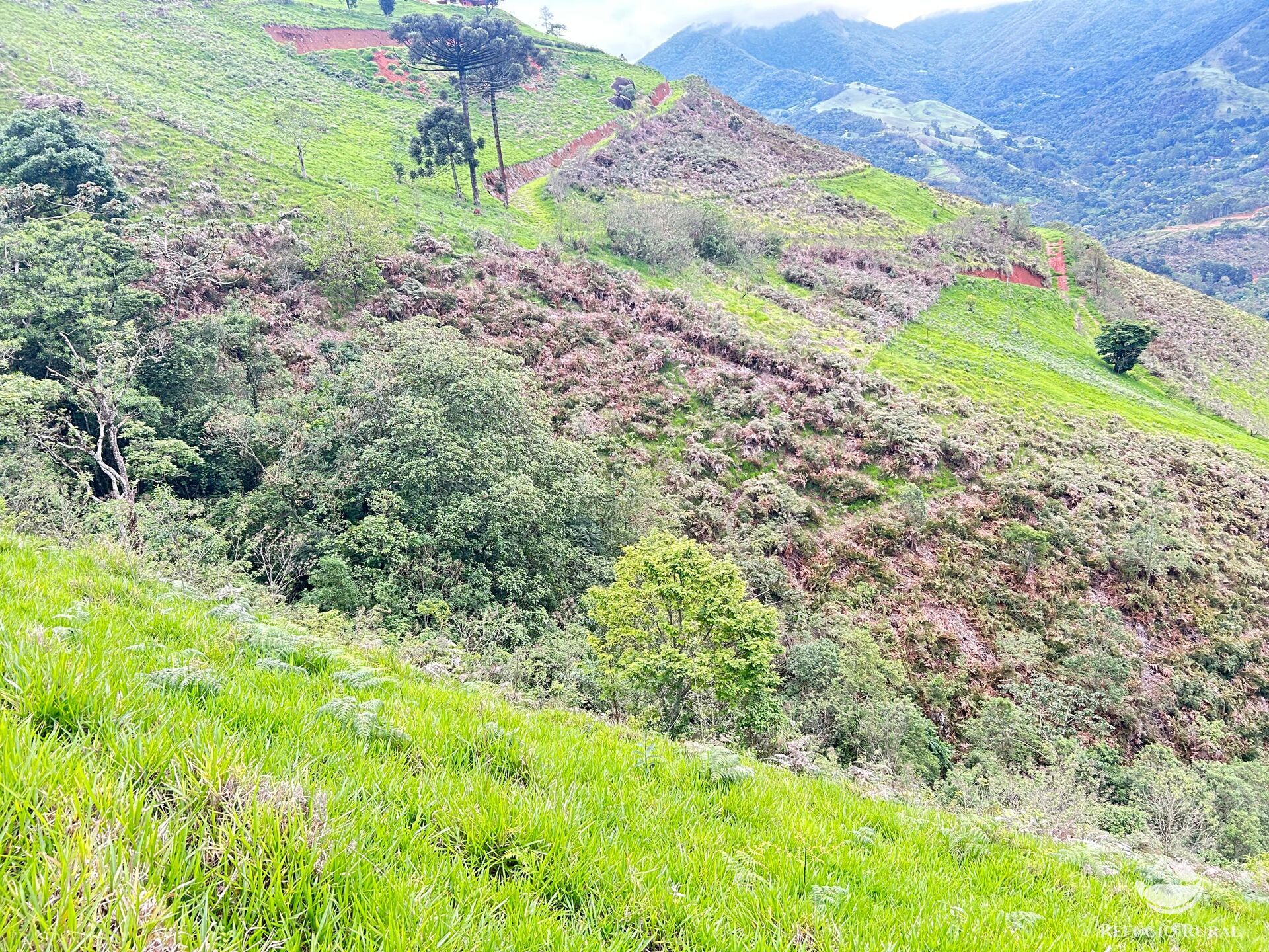 Terreno à venda, 60000m² - Foto 38