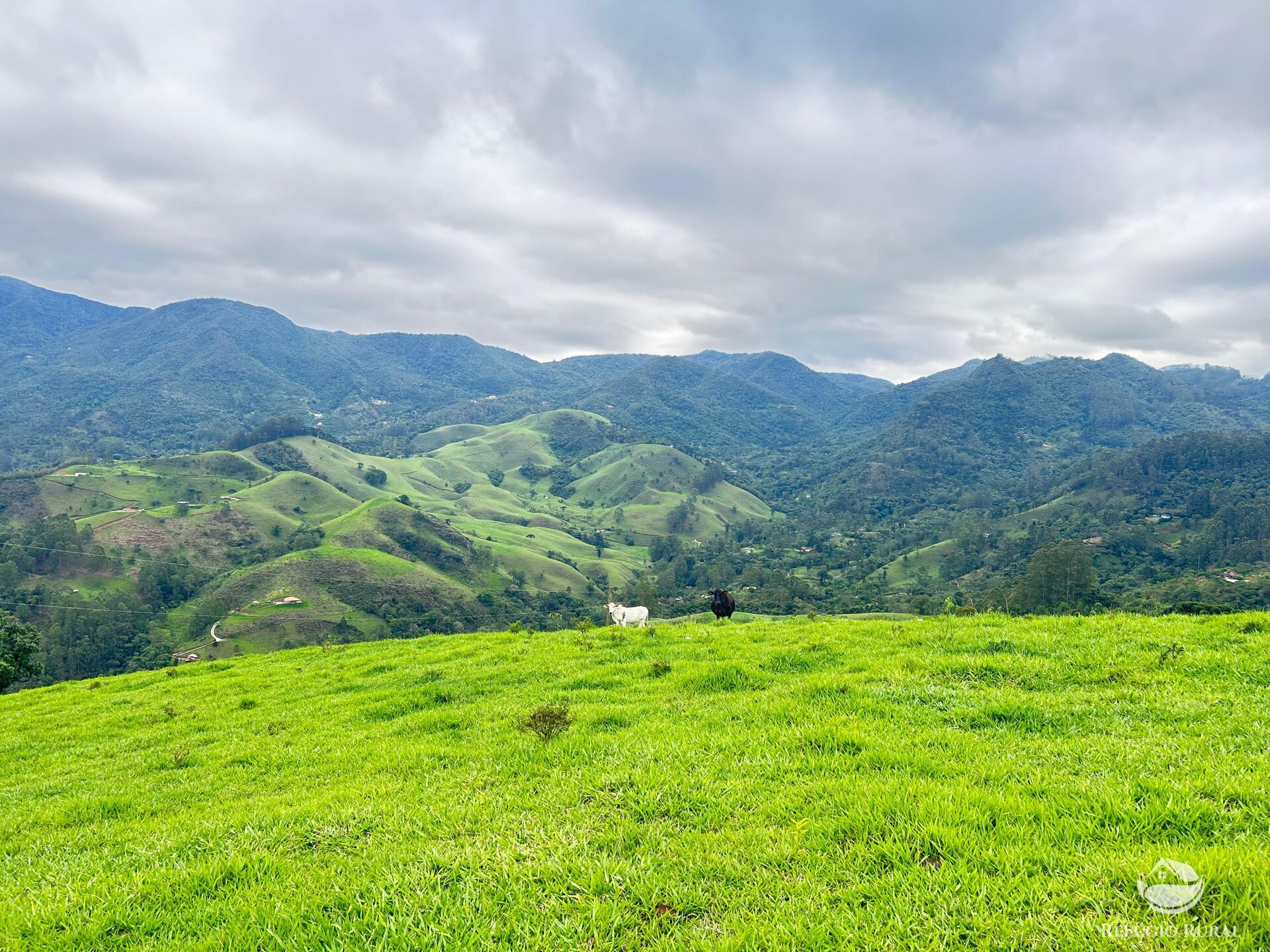 Terreno à venda, 60000m² - Foto 9