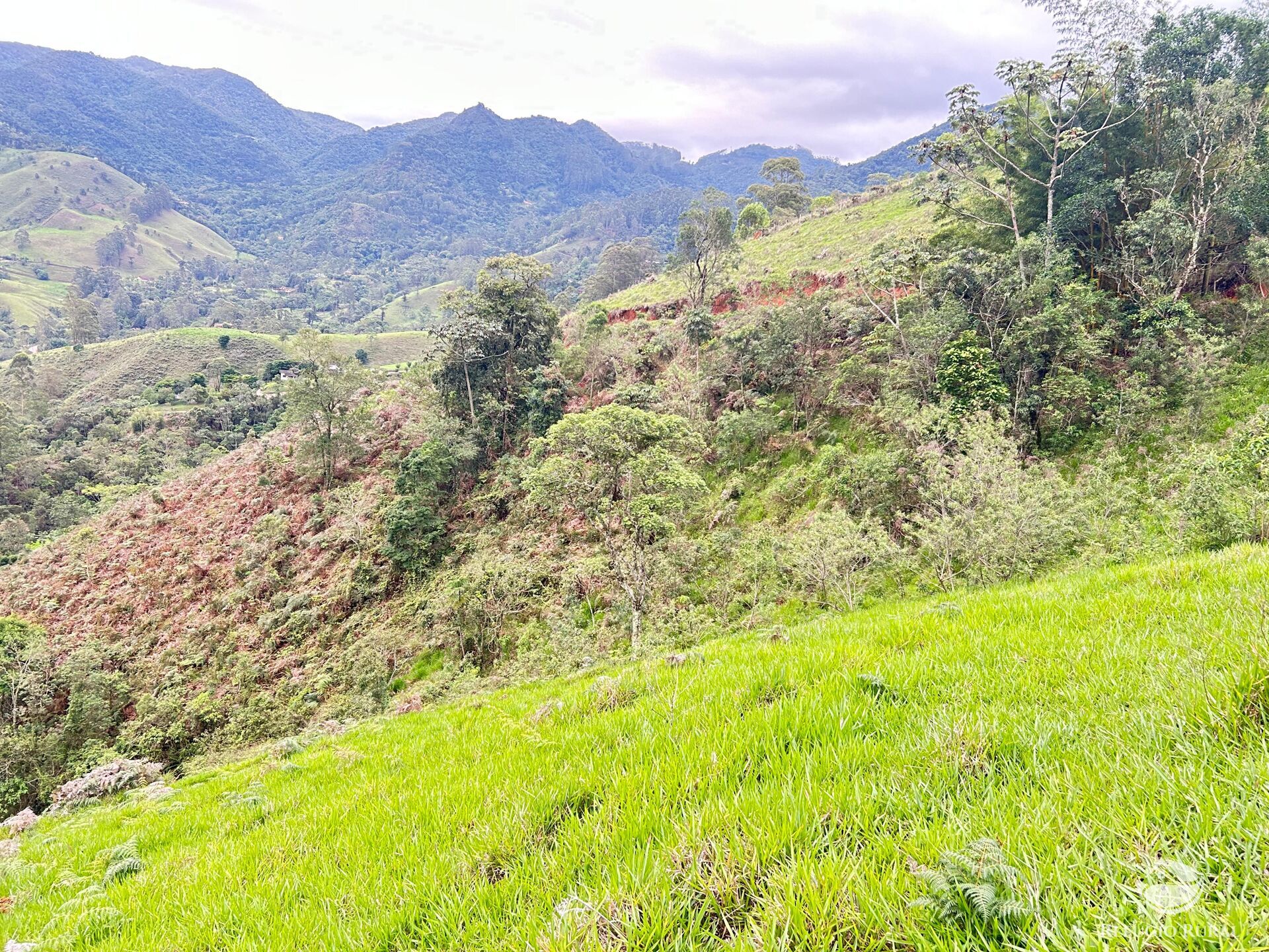 Terreno à venda, 60000m² - Foto 40