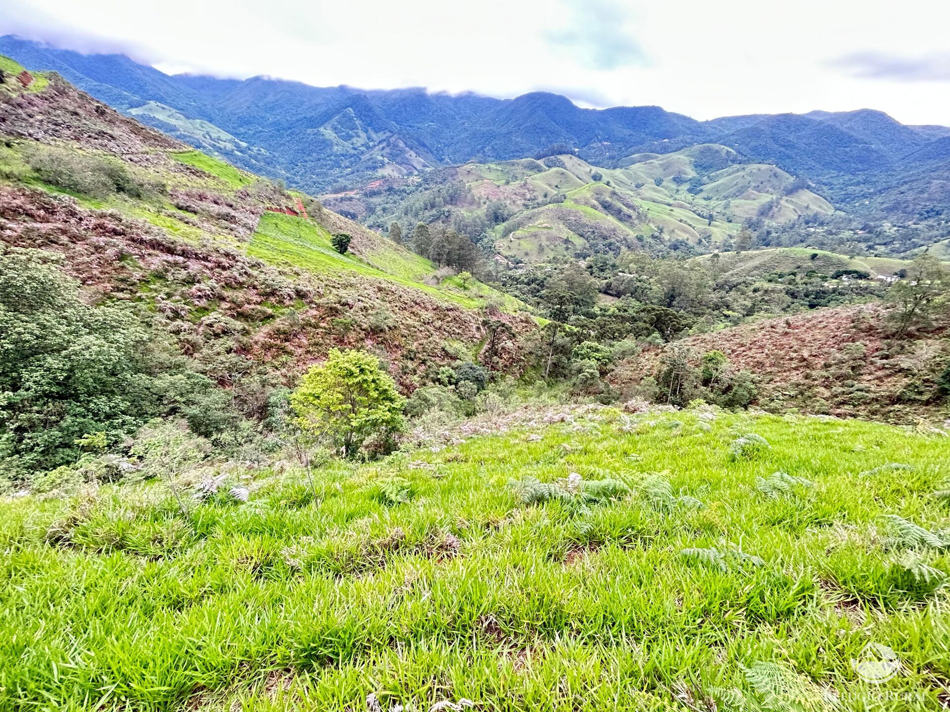 Terreno à venda, 60000m² - Foto 44