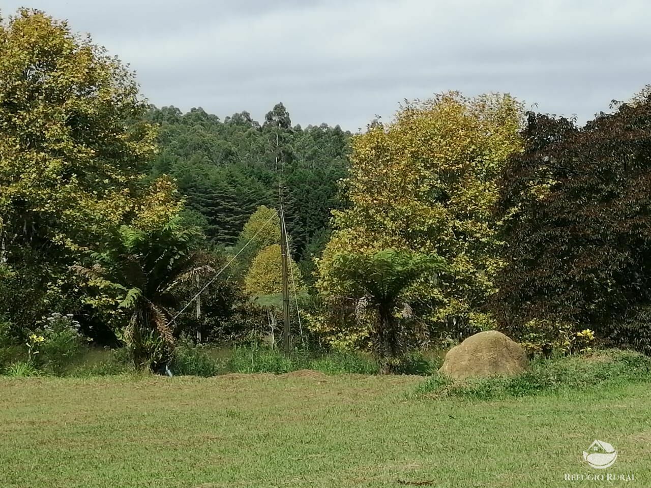 Fazenda à venda com 3 quartos, 660000m² - Foto 7