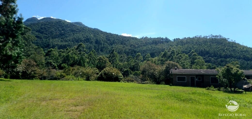 Fazenda à venda com 3 quartos, 660000m² - Foto 30