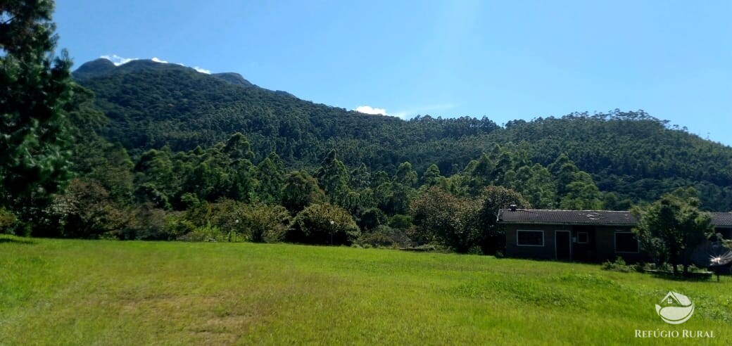 Fazenda à venda com 3 quartos, 660000m² - Foto 32