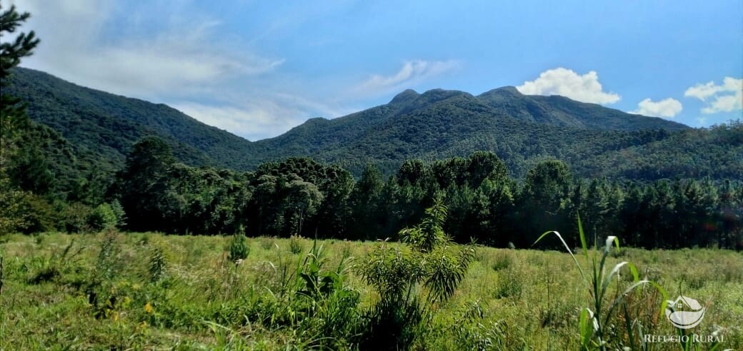 Fazenda à venda com 3 quartos, 660000m² - Foto 33