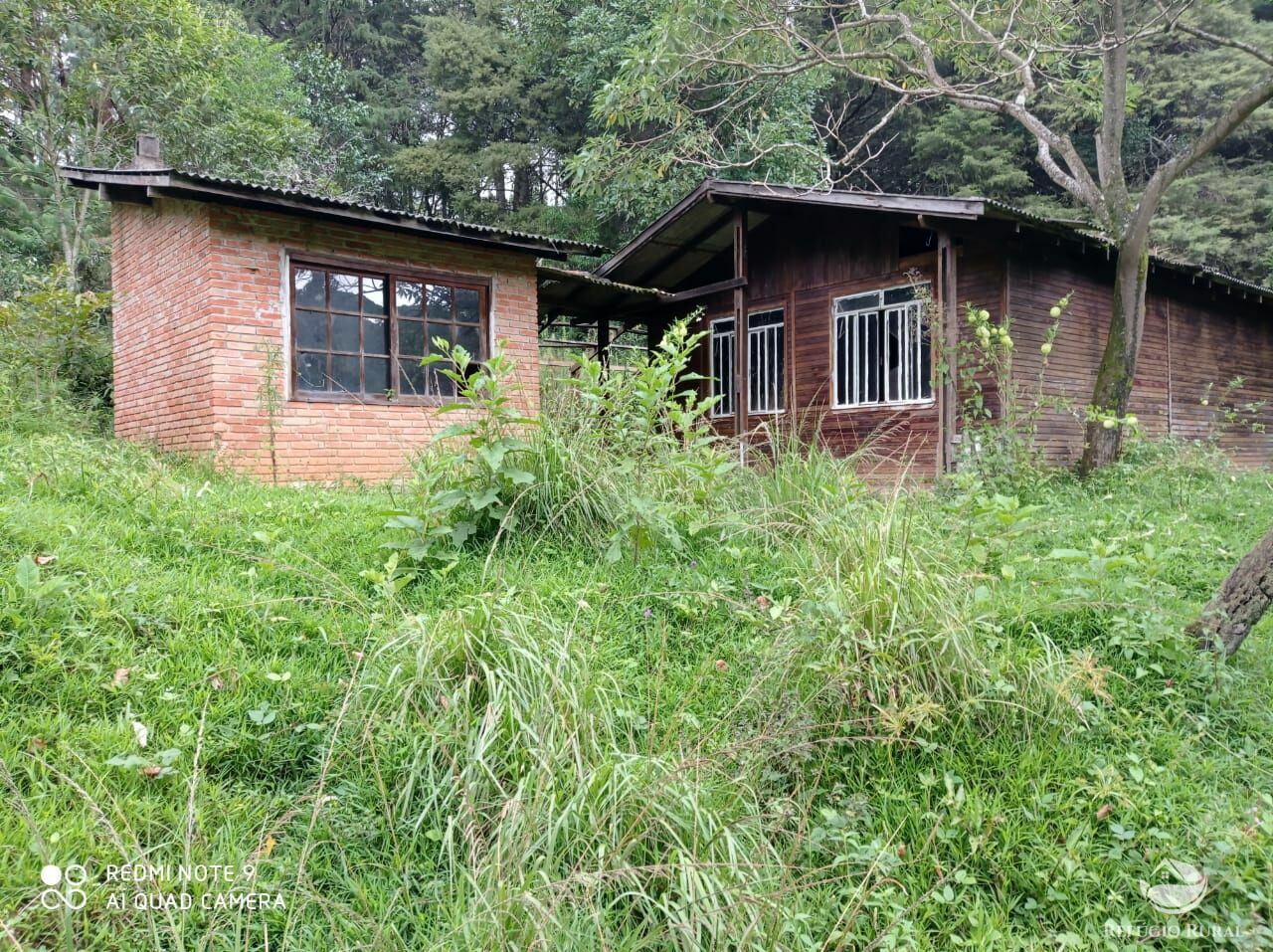 Fazenda à venda com 3 quartos, 660000m² - Foto 16