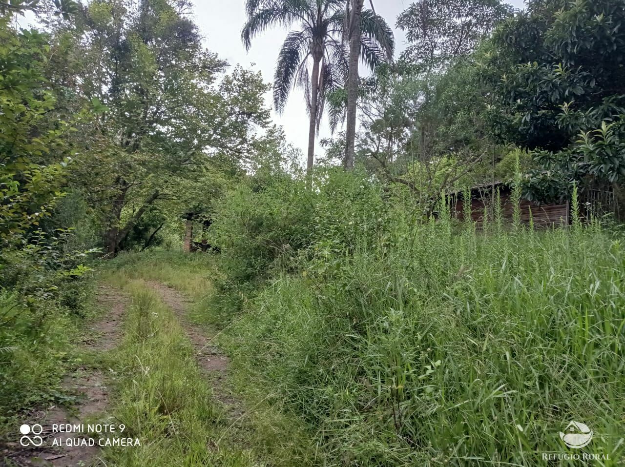 Fazenda à venda com 3 quartos, 660000m² - Foto 23