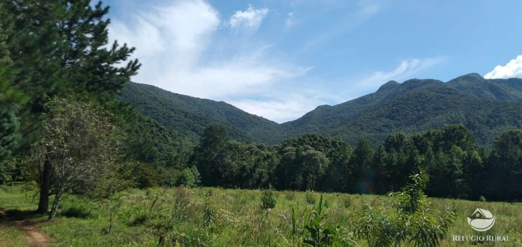 Fazenda à venda com 3 quartos, 660000m² - Foto 36