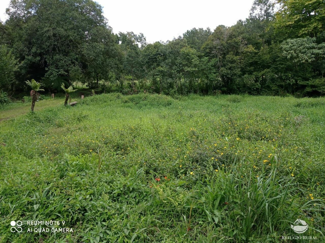 Fazenda à venda com 3 quartos, 660000m² - Foto 15