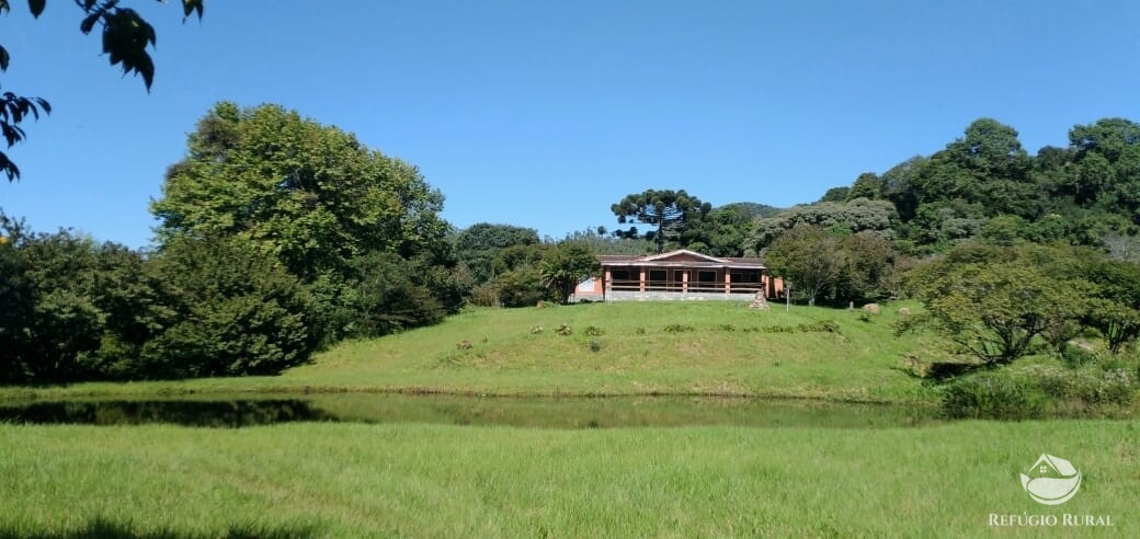 Fazenda à venda com 3 quartos, 660000m² - Foto 29