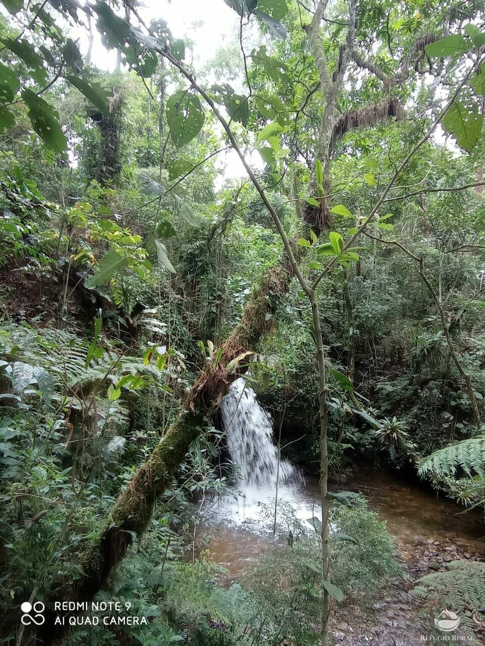 Fazenda à venda com 3 quartos, 660000m² - Foto 17