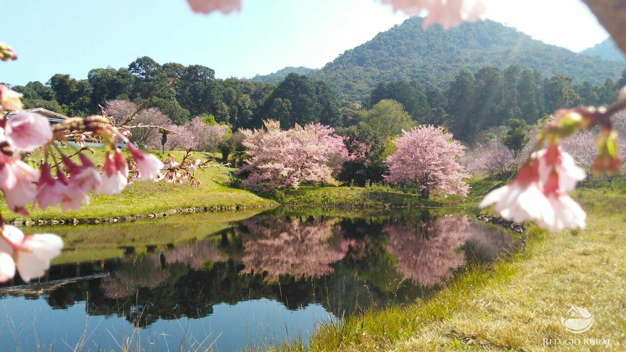 Fazenda à venda com 3 quartos, 660000m² - Foto 5