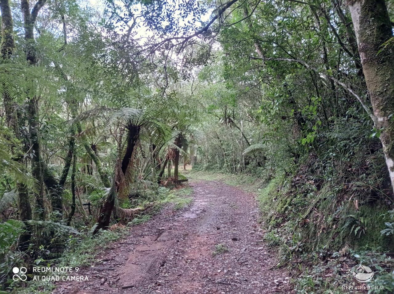 Fazenda à venda com 3 quartos, 660000m² - Foto 21