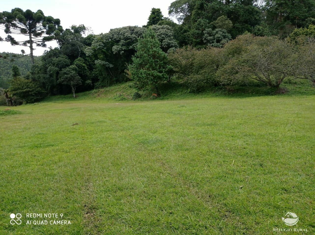 Fazenda à venda com 3 quartos, 660000m² - Foto 12