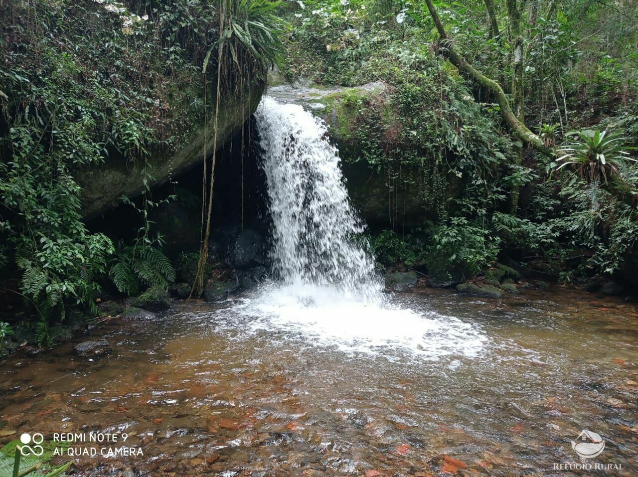 Fazenda à venda com 3 quartos, 660000m² - Foto 10