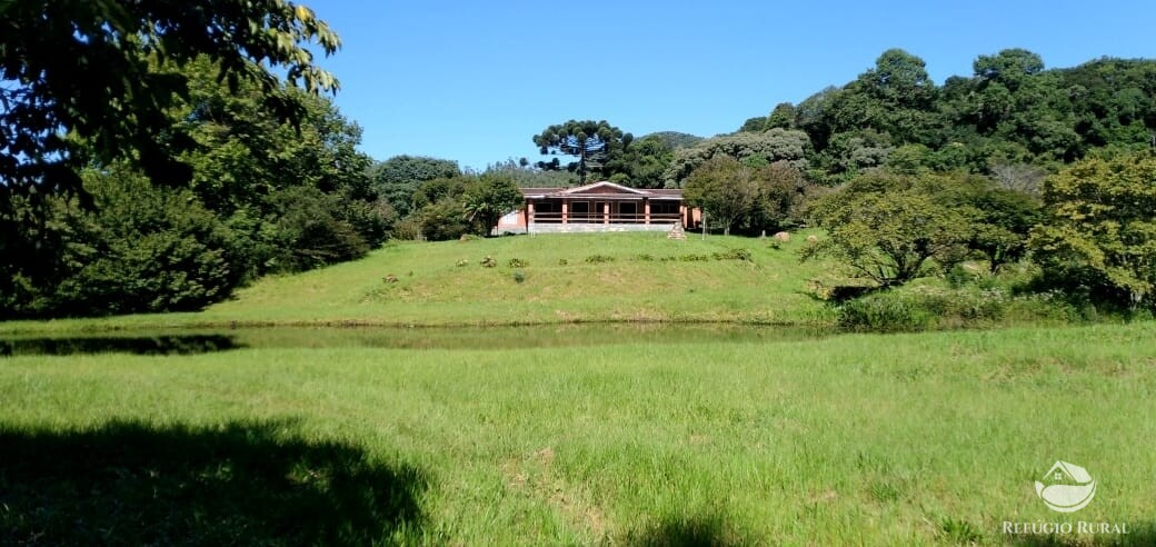 Fazenda à venda com 3 quartos, 660000m² - Foto 4