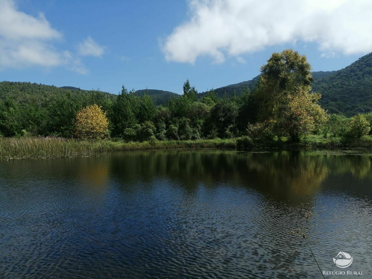 Fazenda à venda com 3 quartos, 660000m² - Foto 18