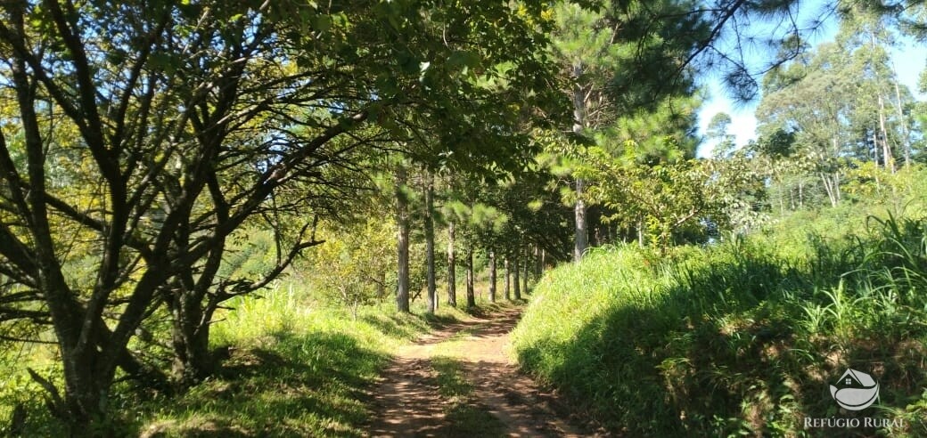 Fazenda à venda com 3 quartos, 660000m² - Foto 31