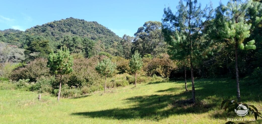 Fazenda à venda com 3 quartos, 660000m² - Foto 34