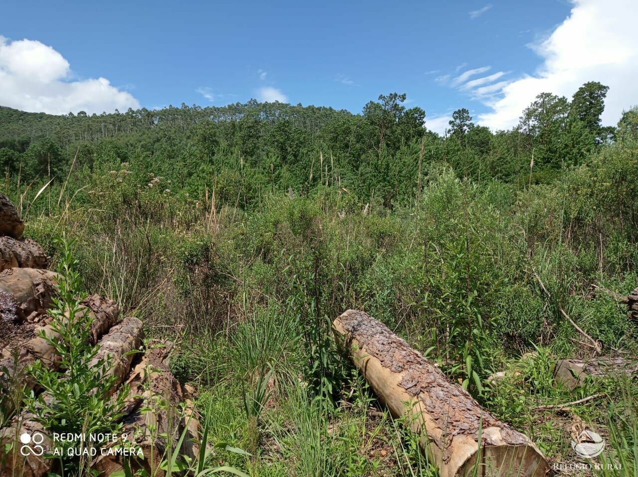 Fazenda à venda com 3 quartos, 660000m² - Foto 14