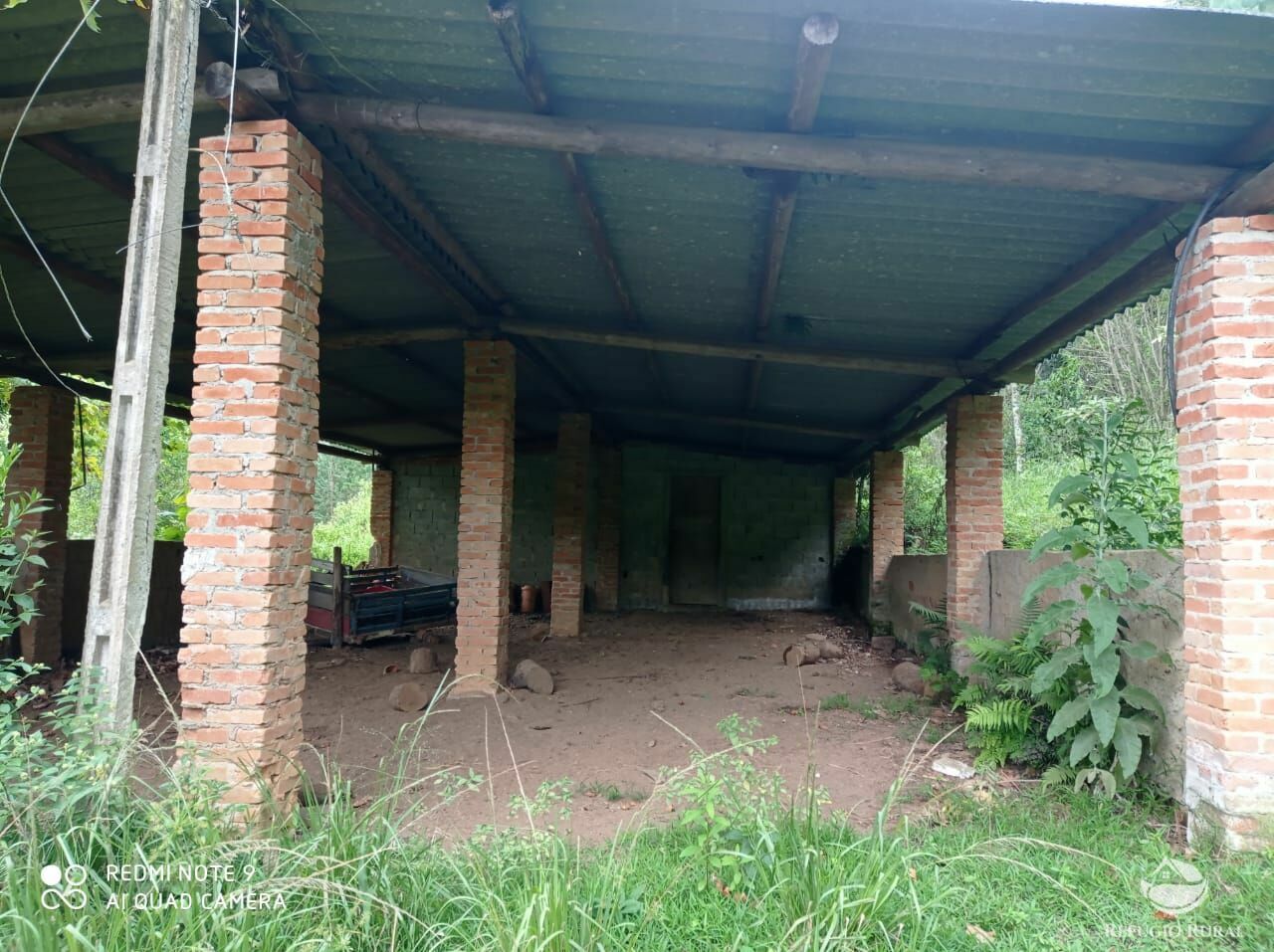 Fazenda à venda com 3 quartos, 660000m² - Foto 19