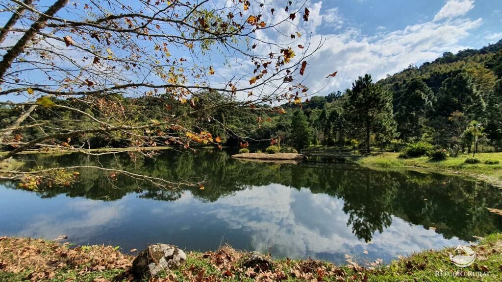 Fazenda à venda com 3 quartos, 660000m² - Foto 1