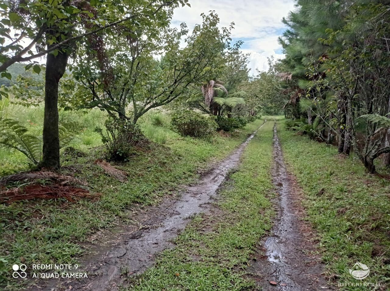 Fazenda à venda com 3 quartos, 660000m² - Foto 20