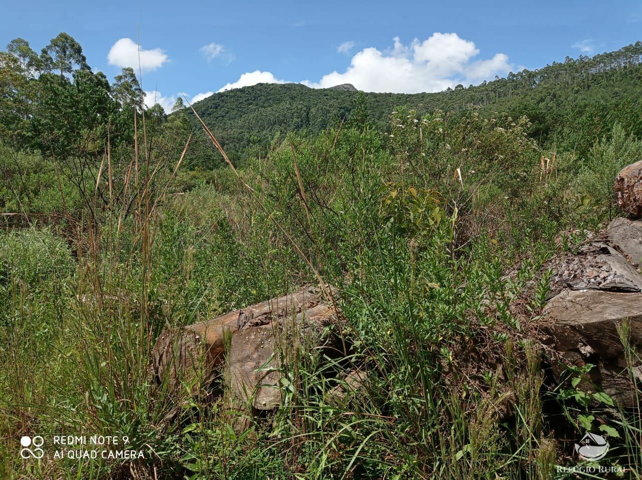 Fazenda à venda com 3 quartos, 660000m² - Foto 25