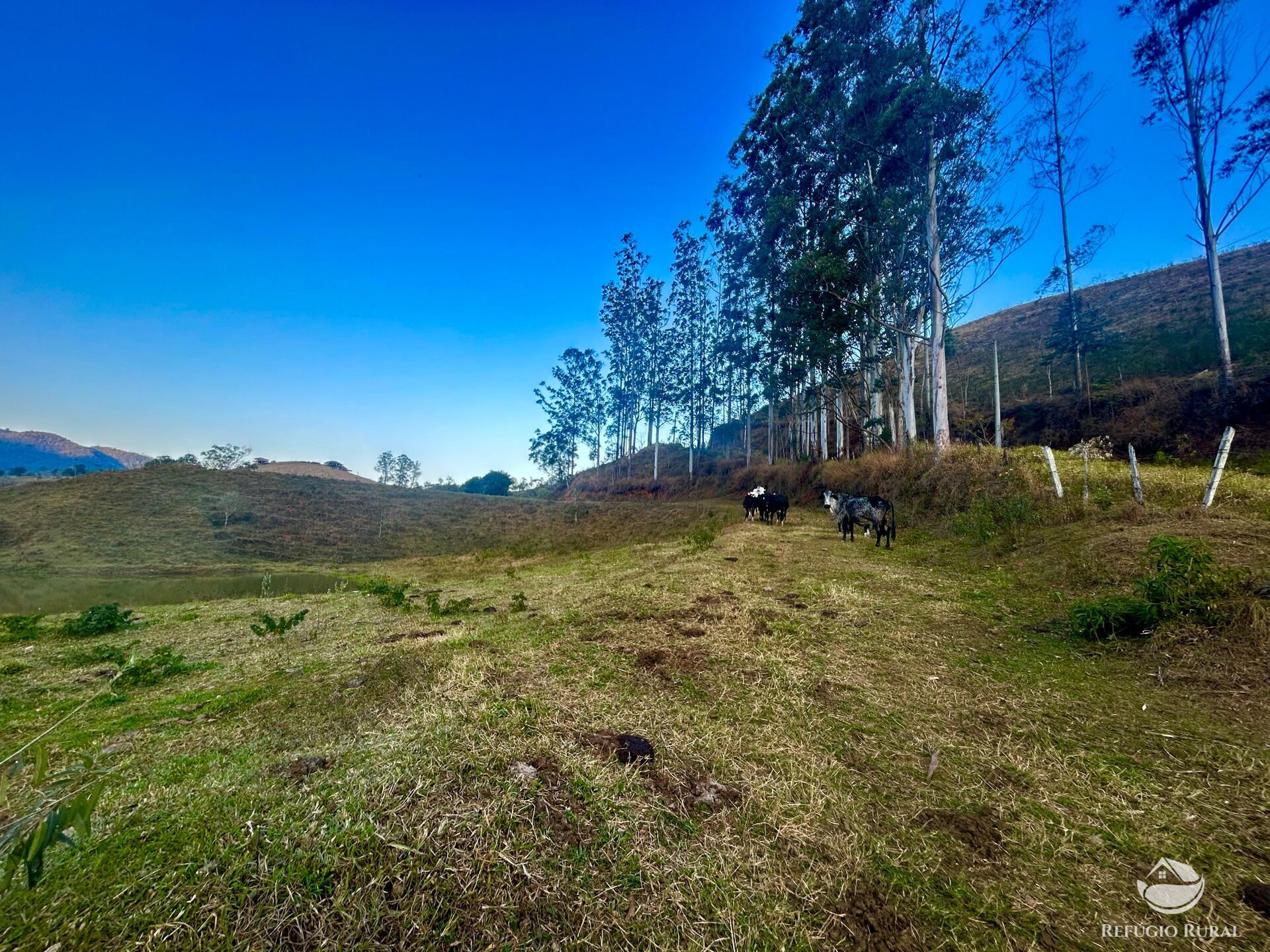 Terreno, 10 hectares - Foto 31