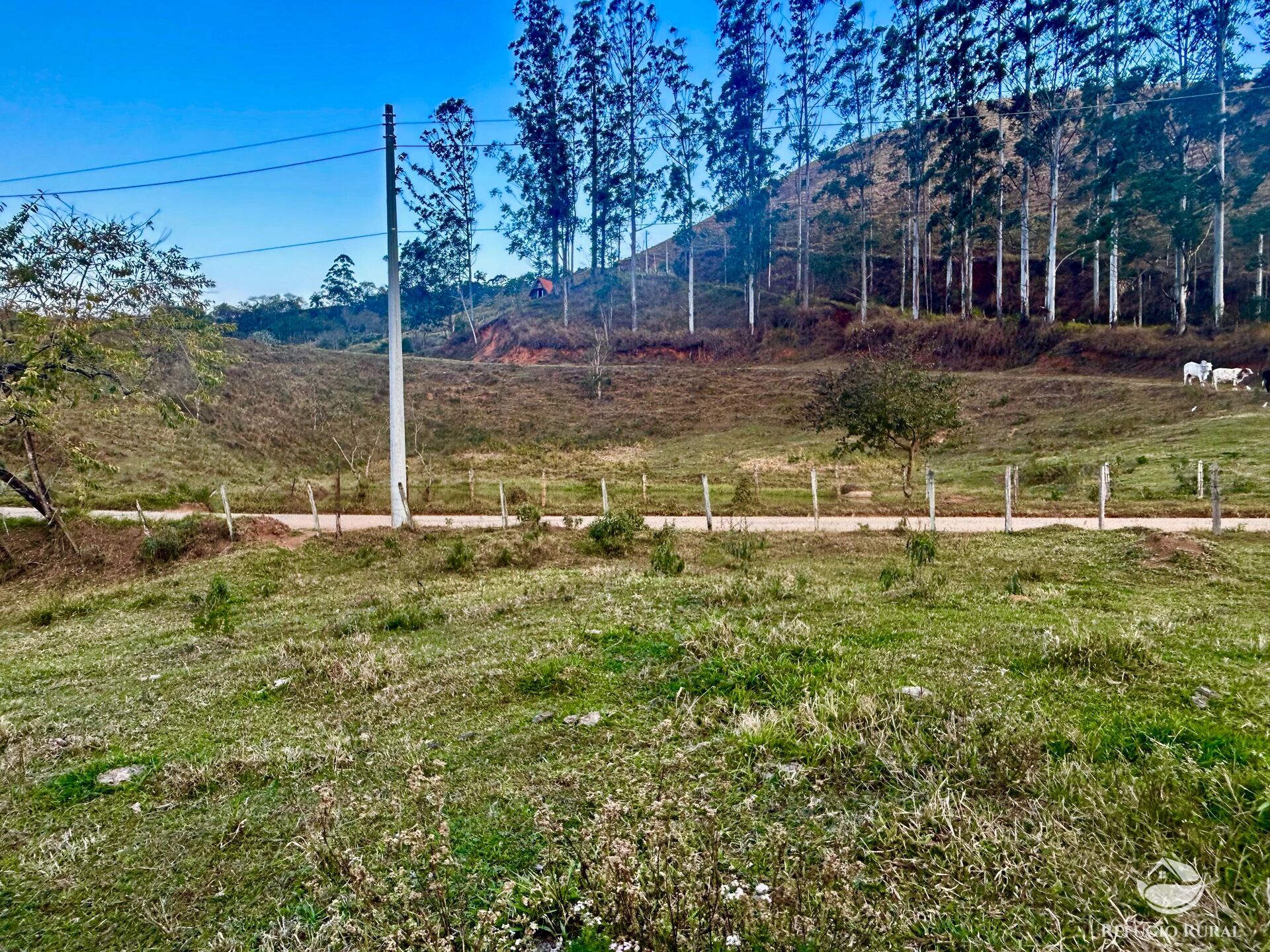 Terreno, 10 hectares - Foto 6